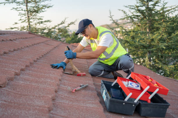 Quick and Trustworthy Emergency Roof Repair Services in Highland Park, PA